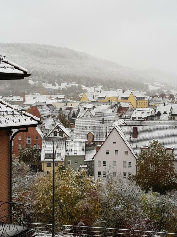 Ferienwohnungen Albstadt Exteriér fotografie