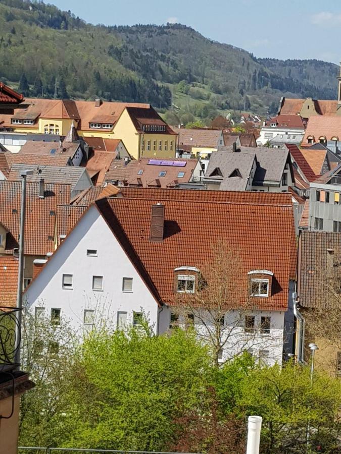 Ferienwohnungen Albstadt Exteriér fotografie